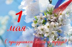 am1oxkbrmwp6ystg2duqap67o1wu6sb1.jpg