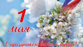 am1oxkbrmwp6ystg2duqap67o1wu6sb1.jpg